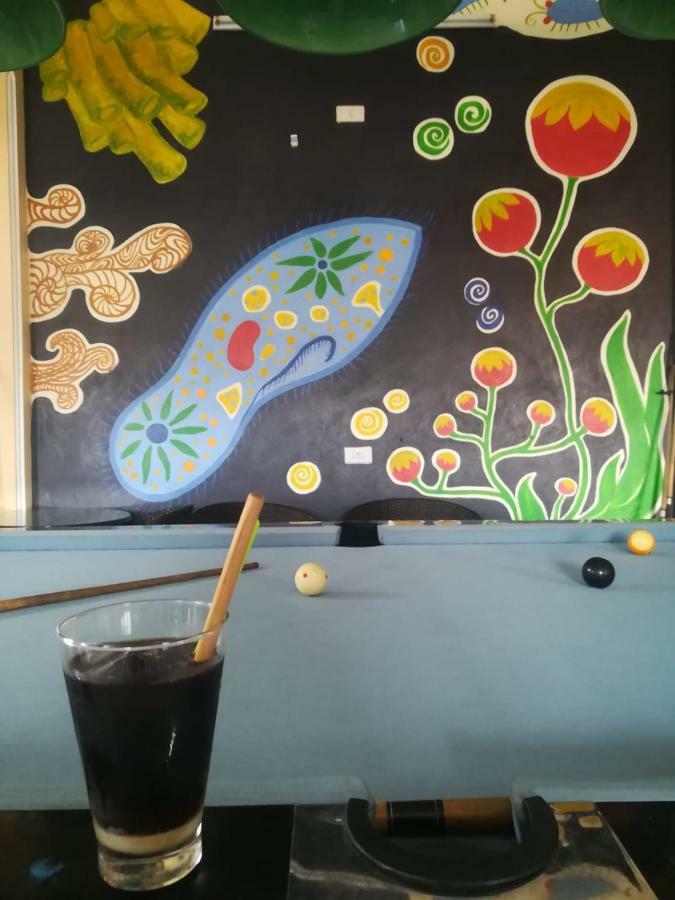 Hoa Luan Hostel Ninh Binh Dış mekan fotoğraf